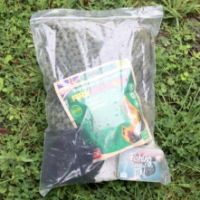 CL006 Snap seal bag Large