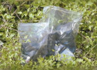 CL006_snapseal bags