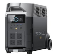 EcoFlow Delta Pro Portable Power Station 