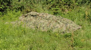 Rocky camo hide